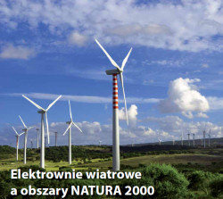 elektrownie wiatrowe a obszary natura 2000